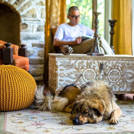 Happy Dervish Homestay مكتزور المظهر الخارجي الصورة