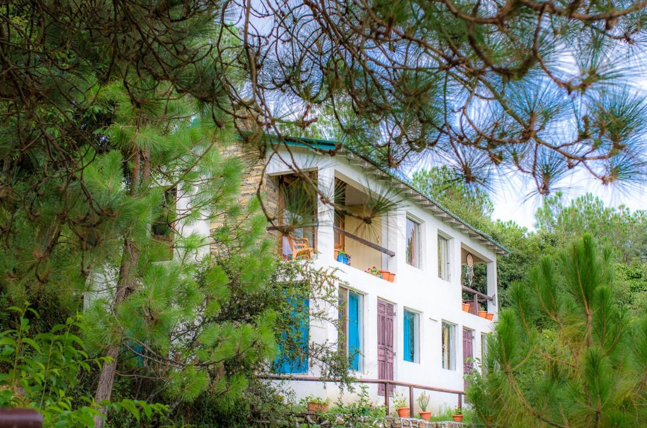 Happy Dervish Homestay مكتزور المظهر الخارجي الصورة
