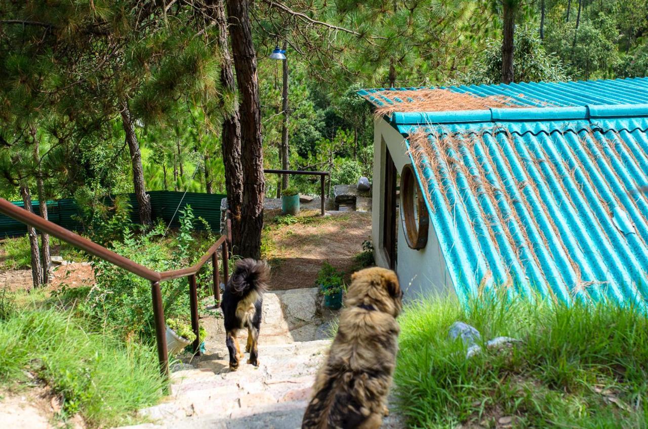 Happy Dervish Homestay مكتزور المظهر الخارجي الصورة
