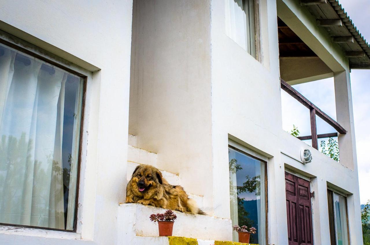 Happy Dervish Homestay مكتزور المظهر الخارجي الصورة